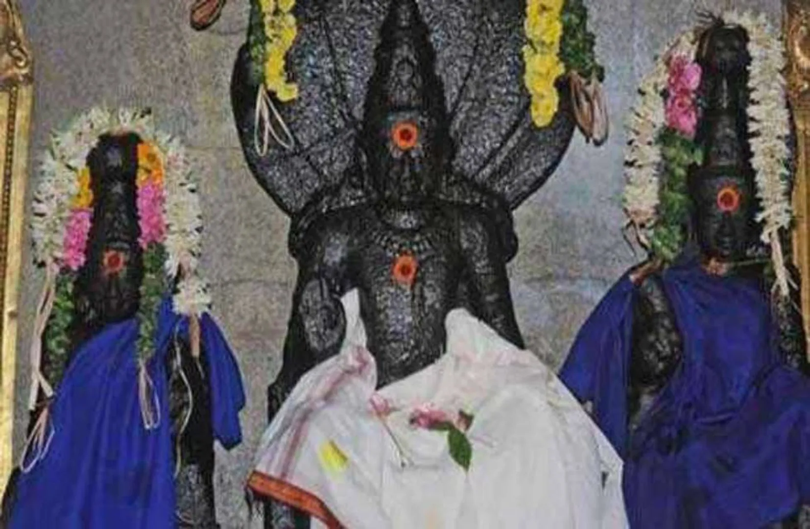 god